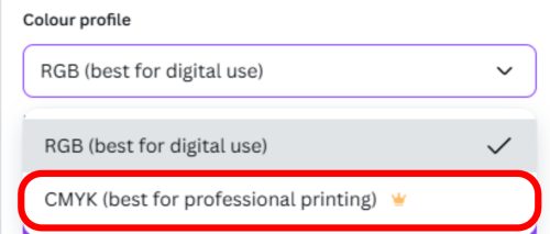 Image showing the drop down menu in Canva where you pick your colour profile