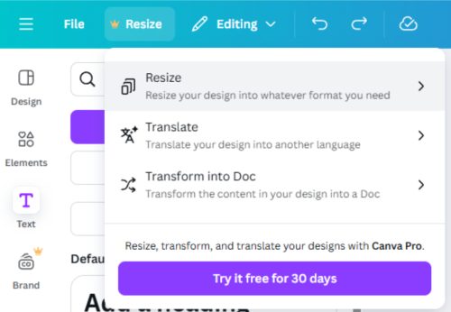 Image showing where to find the Canva resize button