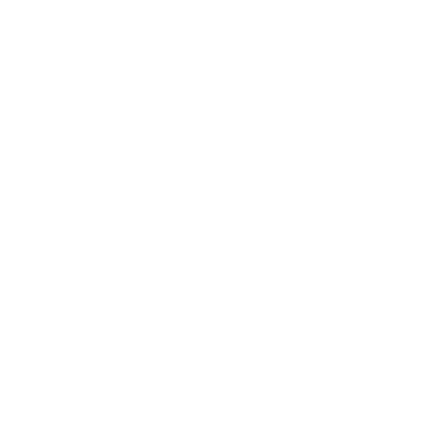 Dyer and Son Logo in White