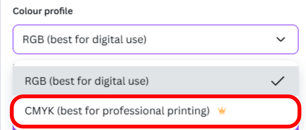 Image showing the drop down menu in Canva where you pick your colour profile